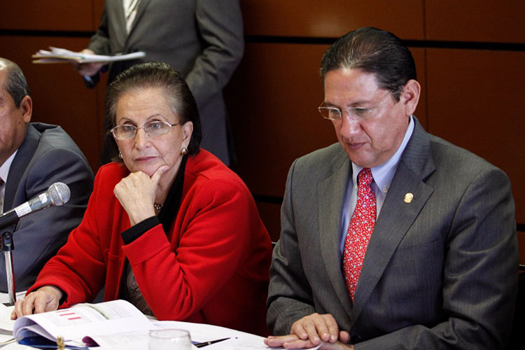 Fallece titular de Indesol, María Angélica Luna Parra