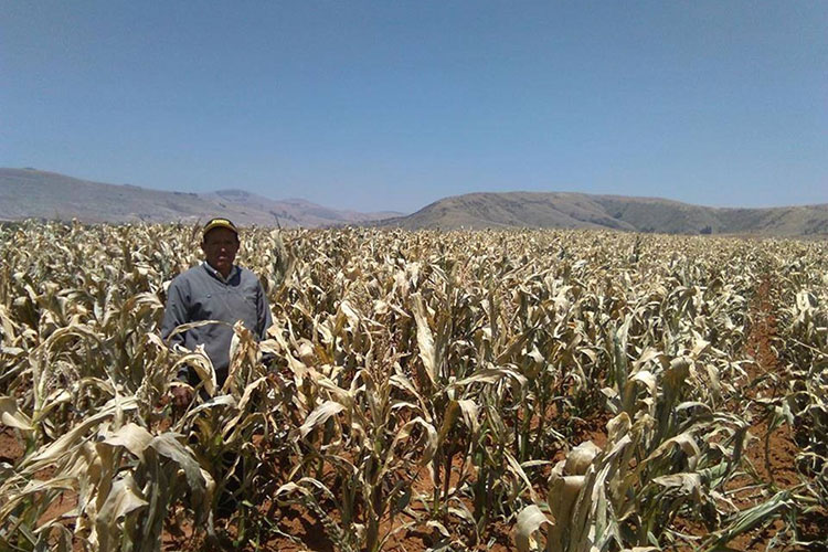 Exigen productores apoyos para el campo