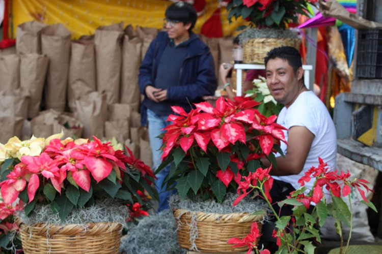 Estiman ganancias por 12 mdp en fiestas navideñas