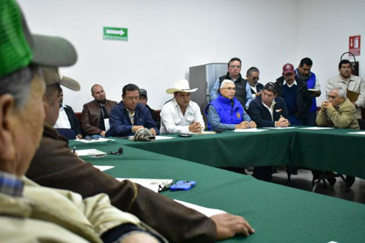 Entregará Estado semilla de soya a productores del norte