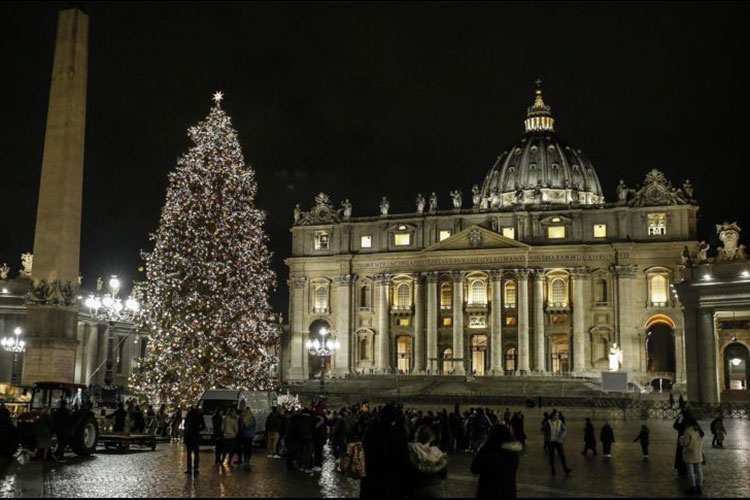 El Vaticano enciende su árbol en la Plaza San Pedro