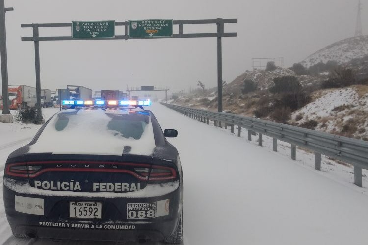 Regresan bajas temperaturas a Tamaulipas