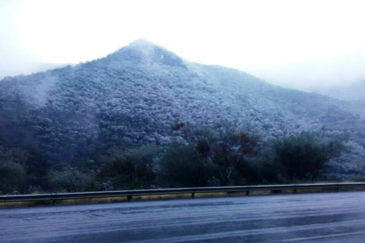 Nevada sorprende a Tamaulipecos; Muere uno por hipotermia