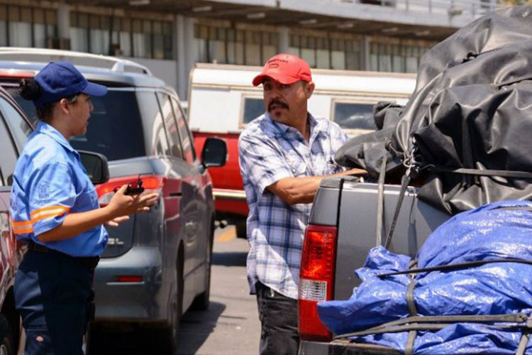 Campanario Frío congela cosechas y pastizales