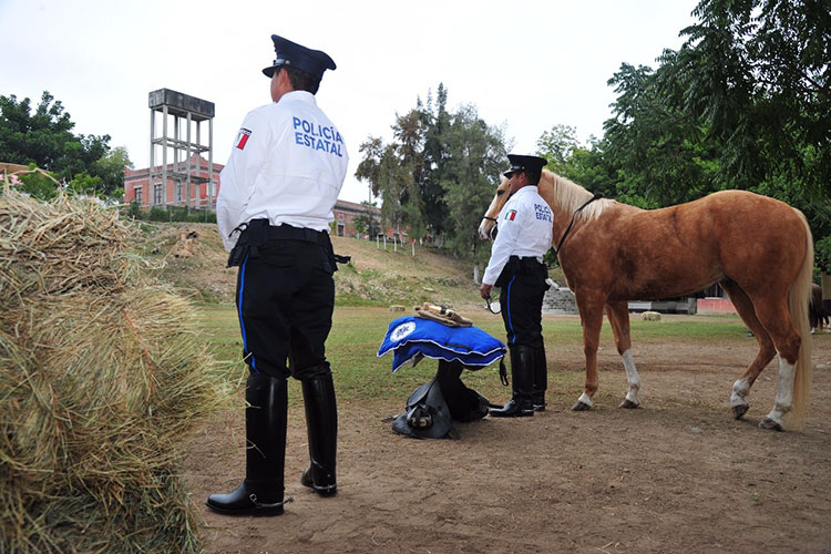 Alistan a la Policía Montada en Tamaulipas