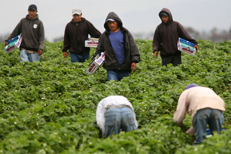 Trato salarial a mexicanos en EEUU es injusto, antiético y antipatriótico