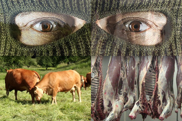 Refuerzan estrategia de seguridad en Campo