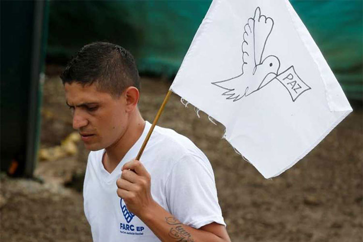 Denuncia FARC asesinato de 36 miembros y ola de amenazas