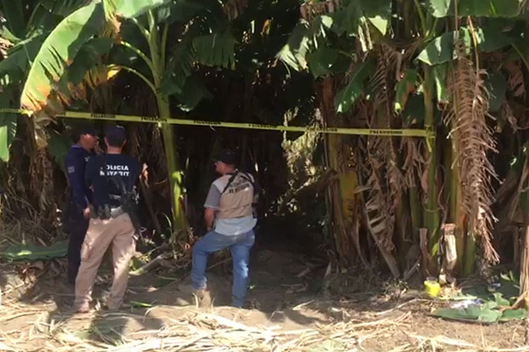 Suman 33 cuerpos hallados en fosas clandestinas de Nayarit