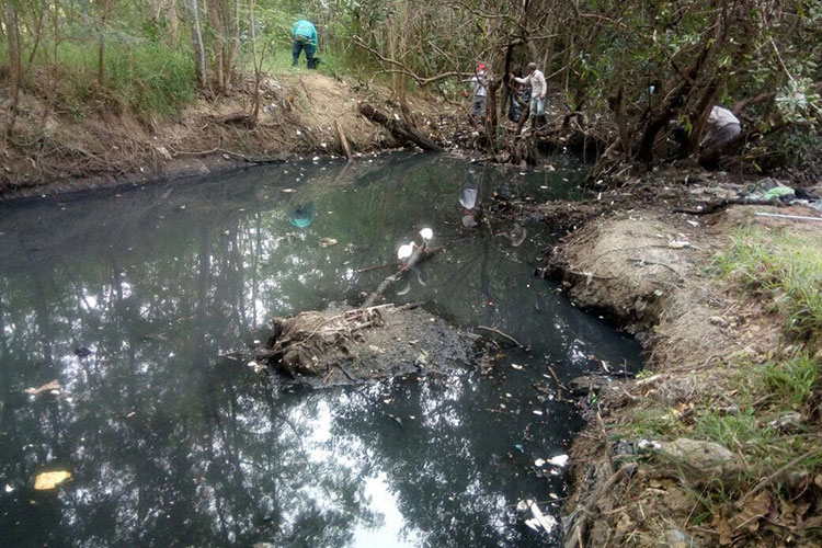 Detectan descargas contaminantes en Laguna del Carpintero