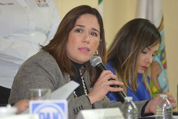 IETAM exculpa a Alma Laura Amparan y al PAN