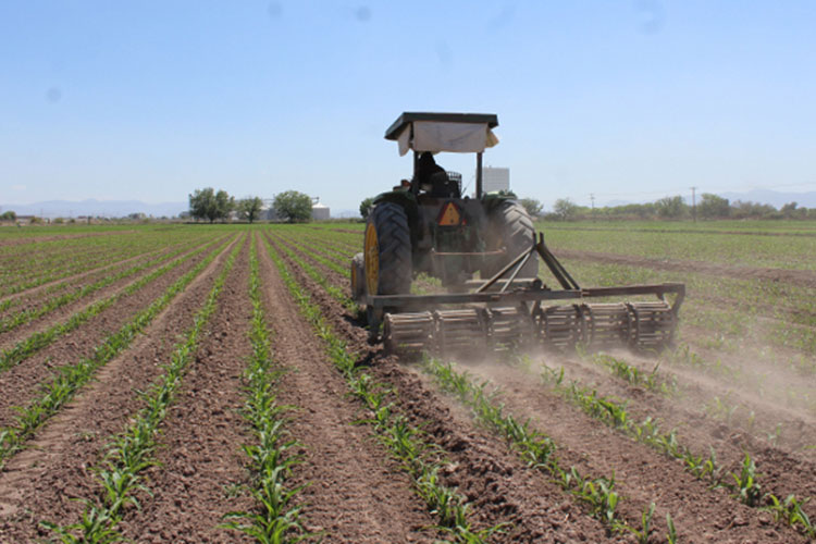 Preparan “Diesel Subsidiado” para agricultores tamaulipecos