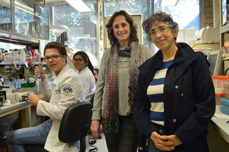 Científicas mexicanas desarrollan molécula contra cáncer de mama