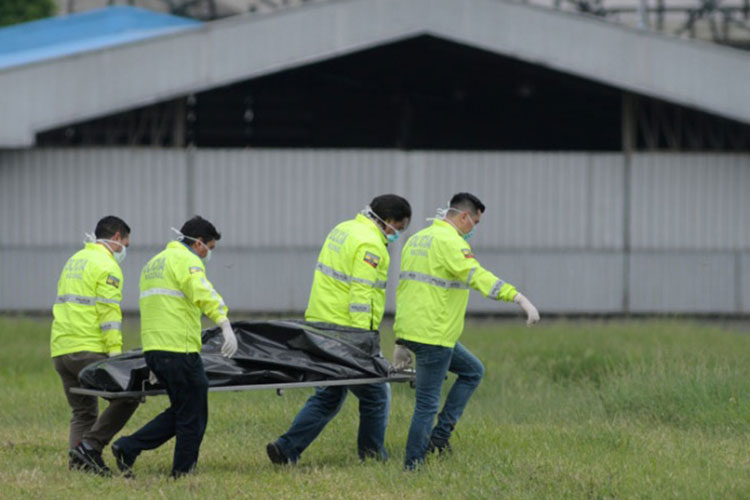 Mueren dos polizones en Ecuador; caen de avión a NY