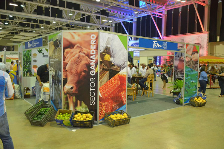 Tampico está listo para el V Congreso Mundial de Ganadería Tropical