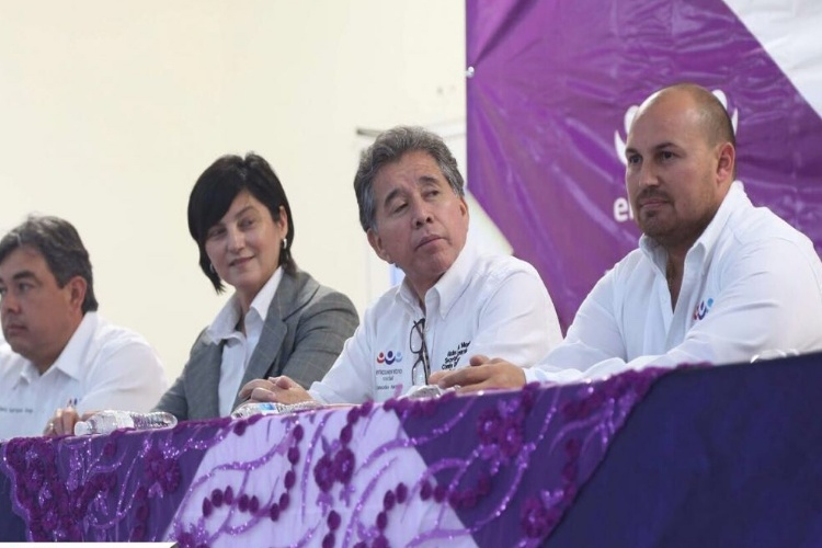 Toman protesta comités directivos municipales del PES