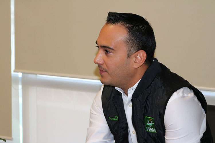 Van cinco Tamaulipecos Verdes en “pluris” a diputación federal