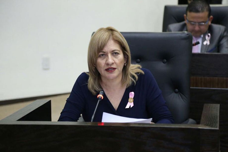Ya tienen abuelitos de Tamaulipas su “ángel legislativo”