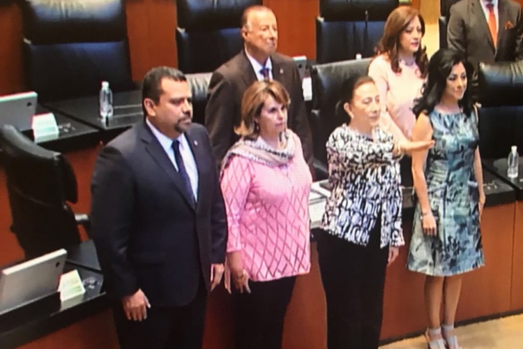 Lupita Flores es Senadora de la República