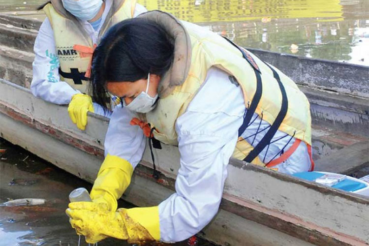 ONU denuncia la muerte de 197 defensores del ambiente