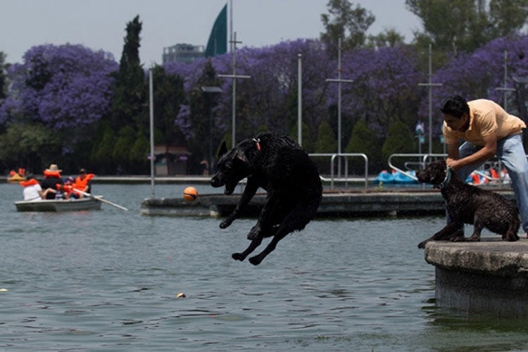 Calor de hasta 45 grados para 26 estados