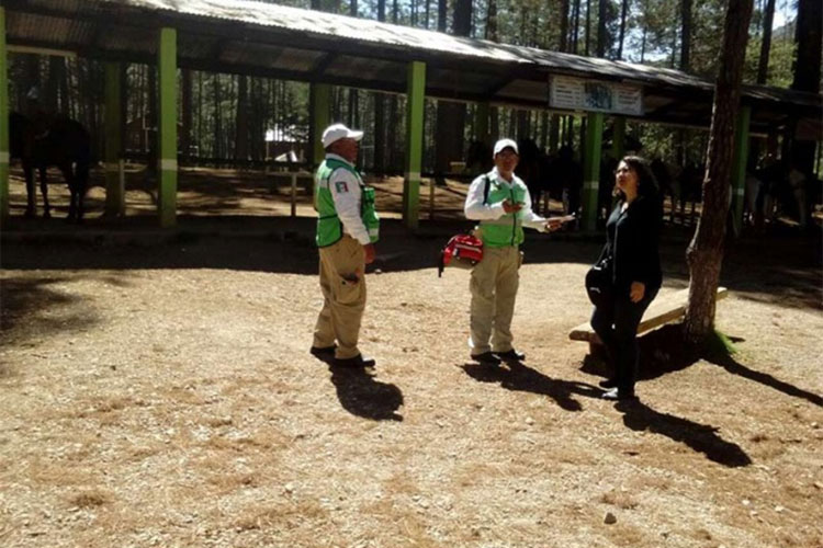 ‘Ola’ de 6 sismos ‘desvela’ a habitantes de Chiapas