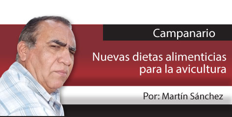 Punto por Punto Ciudades mal hechas