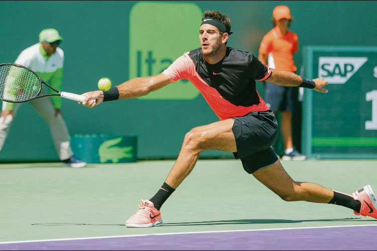 Del Potro sigue imparable en Miami