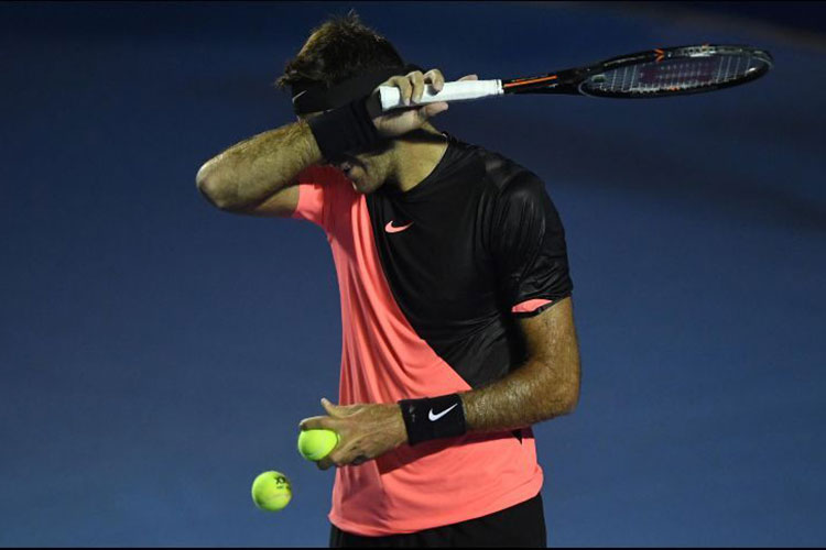 Del Potro accede a cuartos de final en el Abierto de México