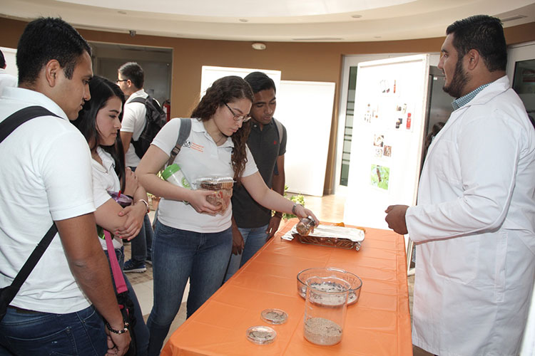 Difunde UAT cultura alimenticia a base de insectos