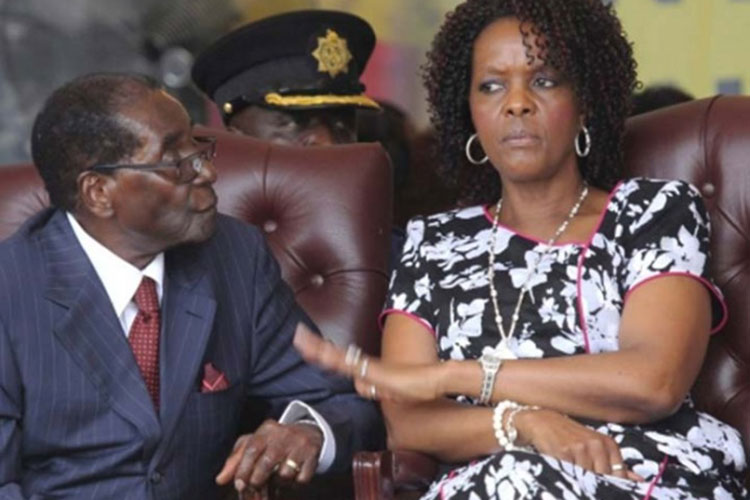 Investigan a exprimera dama de Zimbabue por tráfico de marfil