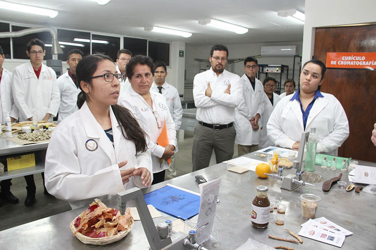Elaboran universitarios jarabe orgánico de mezquite