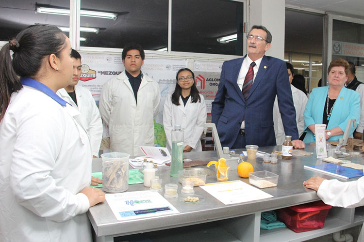 Elaboran mazapán de “maguacata” con propiedades nutritivas