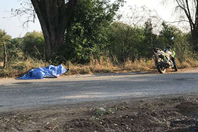 Mata a gato montés y después fallece