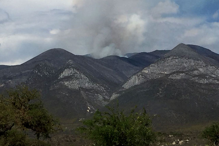 Se mantienen activos tres incendios en la sierra madre