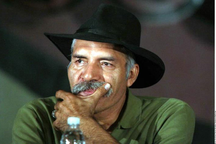 Va Mireles por diputación en Michoacán