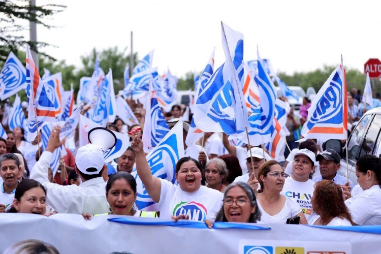 Consejeros desechan primeras denuncias contra candidatos