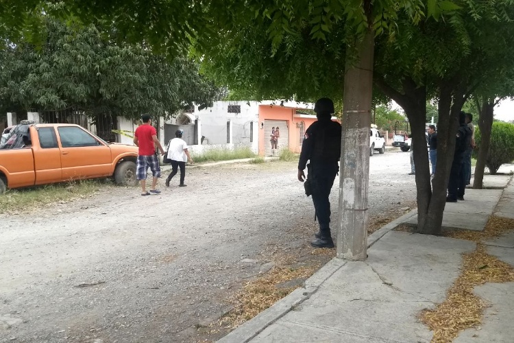 Perros Pitbull matan a su dueño en El Mante