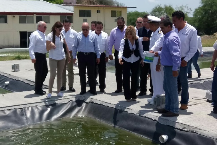 Unen esfuerzos SEDUMA y UTMART en medio ambiente