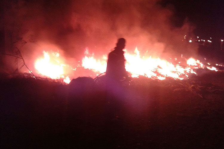 Son originados incendios de zacatales en su mayor parte