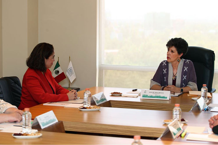 “La unanimidad no es certeza”: Presidenta del TEPJF