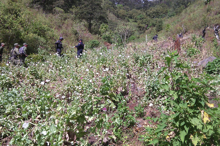 Detienen a ex funcionario de Nayarit, acusado por narcomenudeo