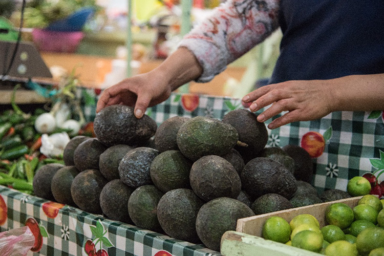 Se dispara precio del aguacate, llega a 63.50 pesos el kilo