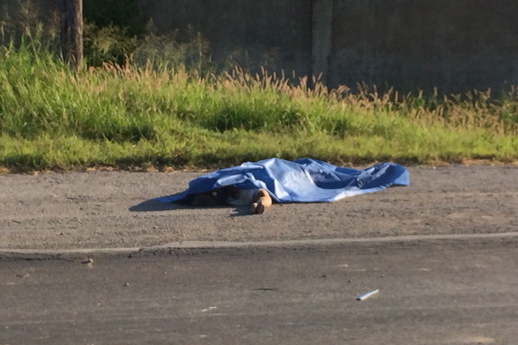 Mujer arrolla a hombre, después huye