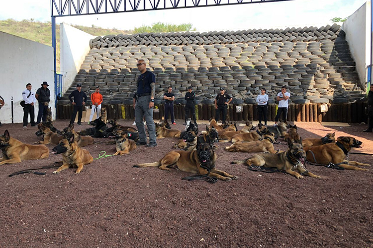 Capacitan personal de la PGJ para mejorar técnicas en la unidad canina