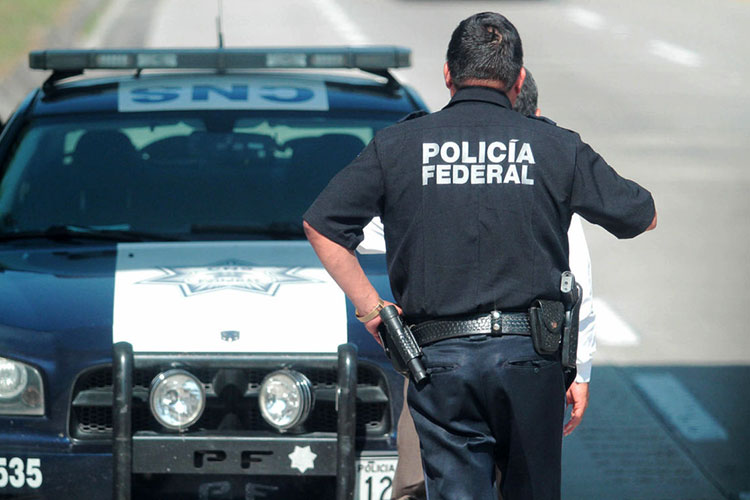 Se está trabajando con las fuerzas federales en seguridad: GSM
