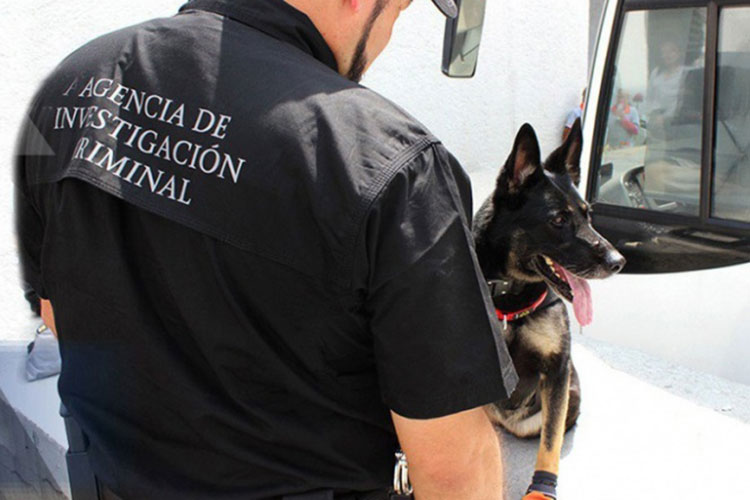 PGR asigna 102 elementos para garantizar elecciones