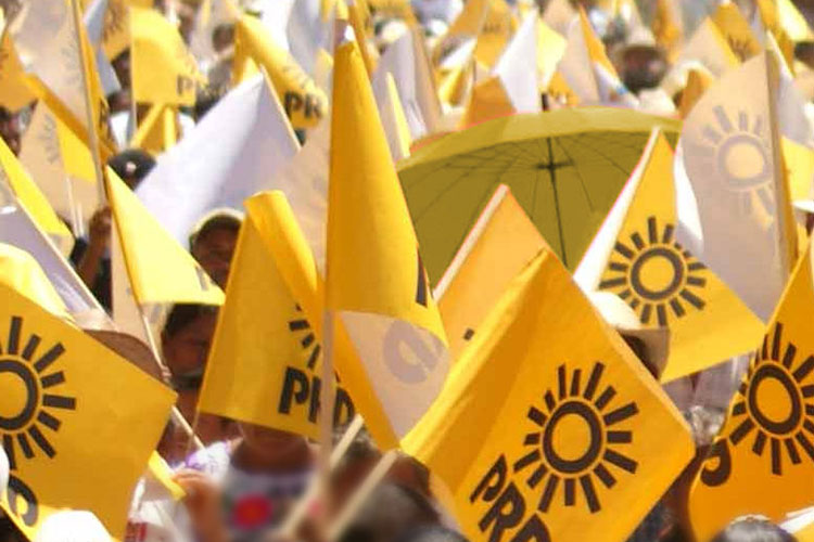 La figura de independiente es necesaria: Tania Contreras