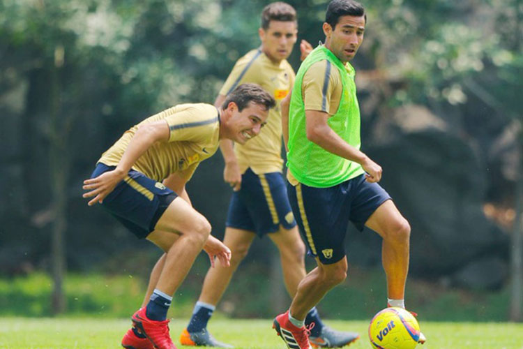 Hay confianza en Pumas para eliminar al América
