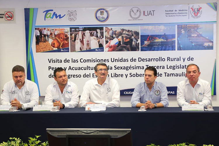 Pide Secretario a Diputados más presupuesto por andar “amoladitos”